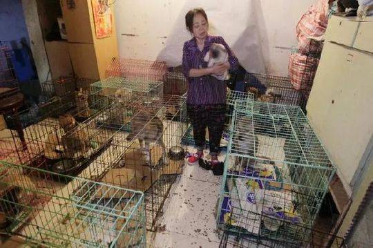 【吃瓜爆料网】AI赋能中医药：超级医师“中医优势病种AI量效模型”引重视