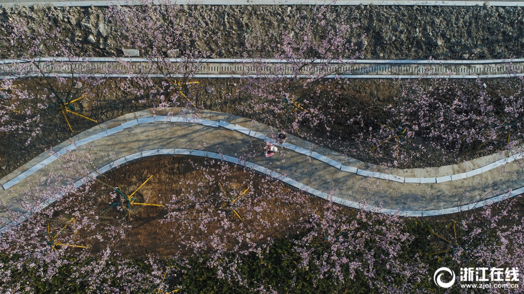 恒生指数高开1.13% 恒生科技指数涨1.68%