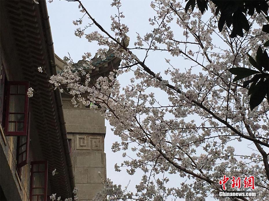 2024年泉州招商归纳考评石狮位列第二
